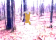 Mysterious Myth... or Legendary Legend?