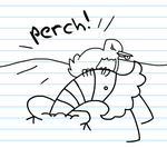 PERCH!
