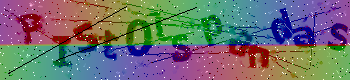 CAPTCHA Image