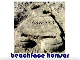 File:beachface-homsar.png