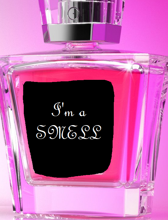 File:smbpi.PNG
