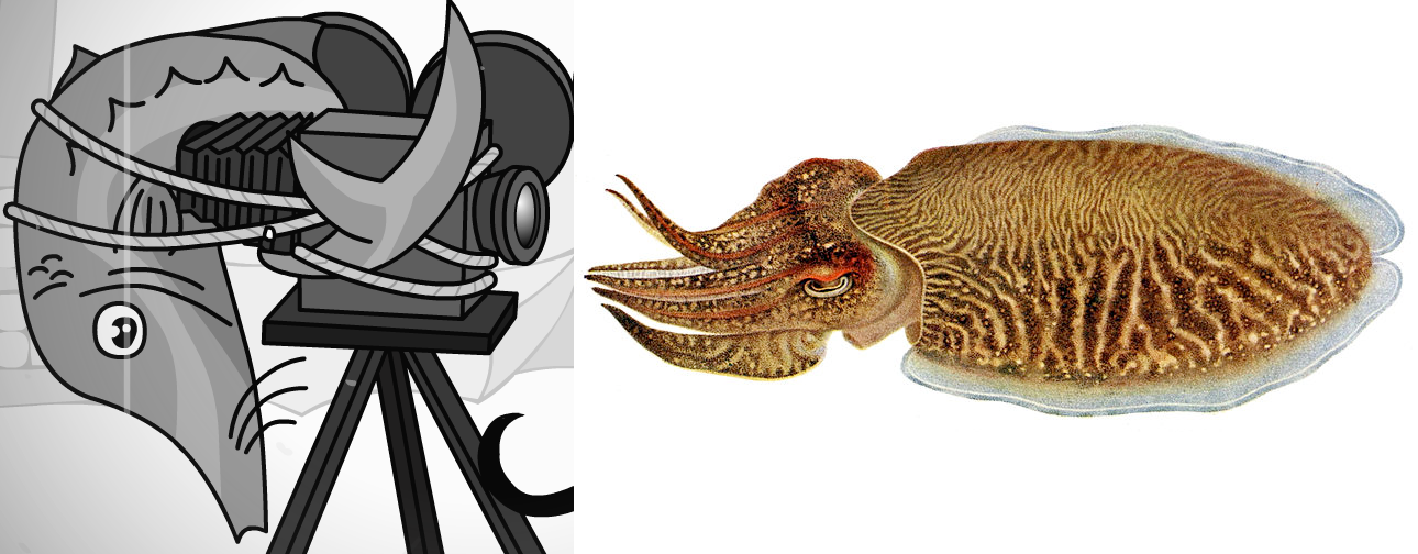 Something's fishy here