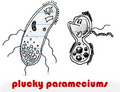 Thumbnail for version as of 23:51, 24 April 2008