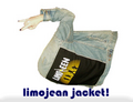 Thumbnail for version as of 18:24, 1 November 2007