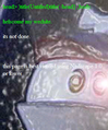 Thumbnail for version as of 07:53, 24 November 2005