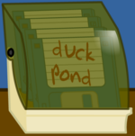 Duck Pond